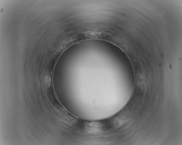 X0000063490324200601231418