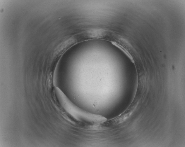 X0000063490325200601231418