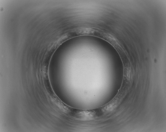 X0000063490326200601231418