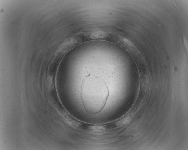 X0000063490327200601231418