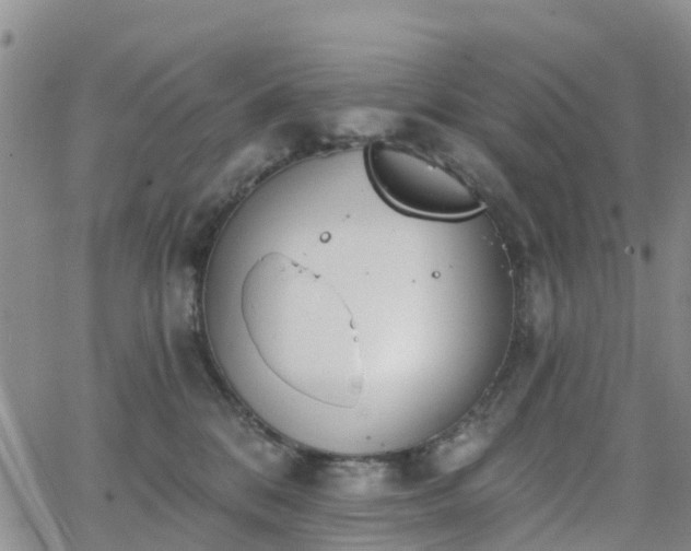 X0000063490328200601231418