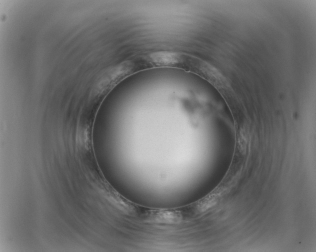 X0000063490330200601231418