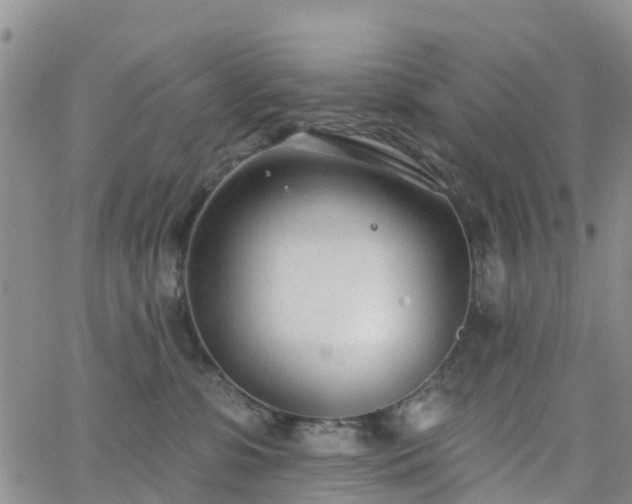 X0000063490331200601231418