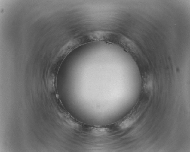 X0000063490332200601231418