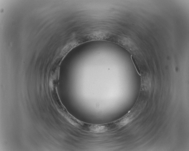 X0000063490334200601231418