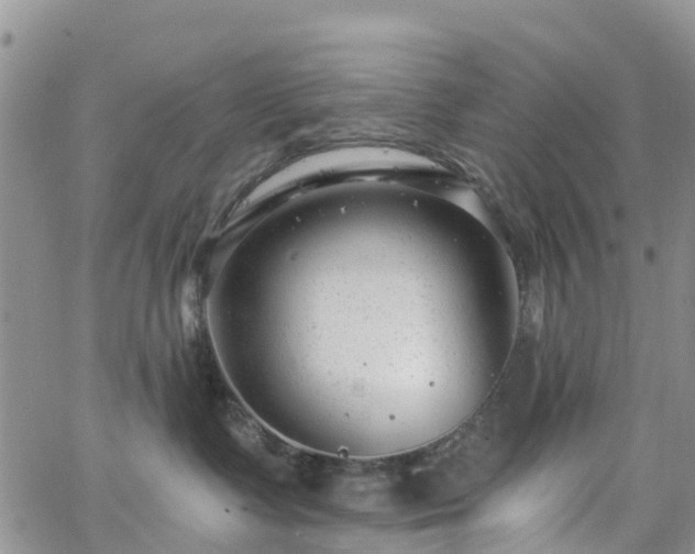 X0000063490335200601231418