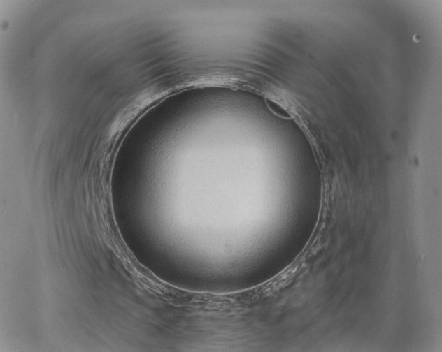 X0000063490337200601231417