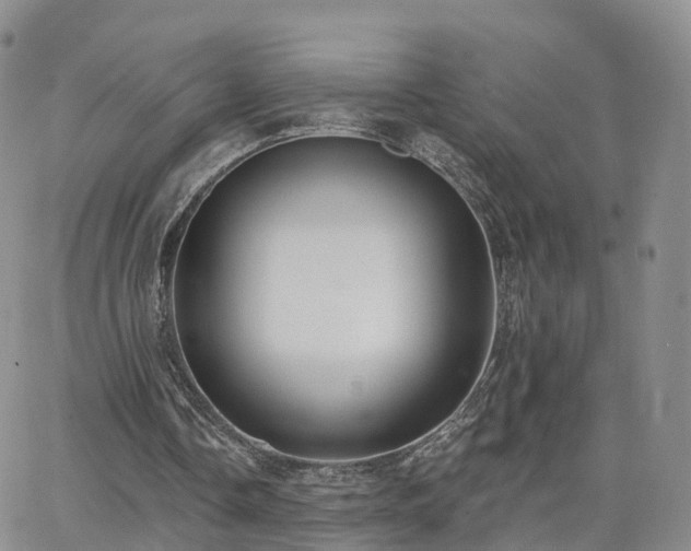 X0000063490338200601231417