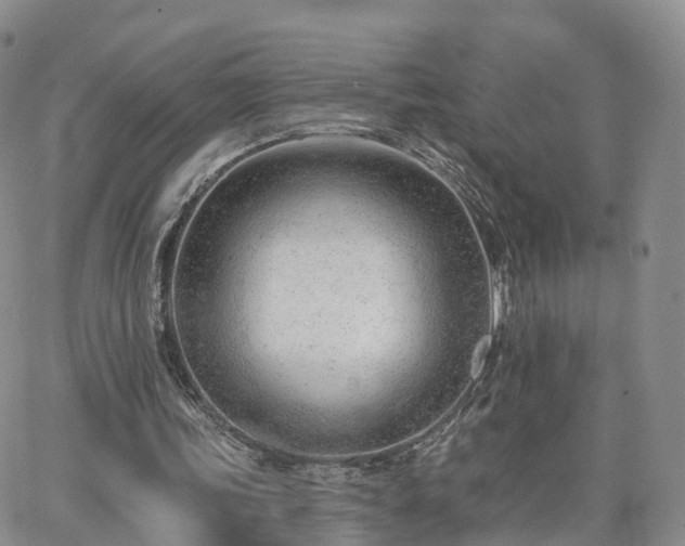 X0000063490339200601231417