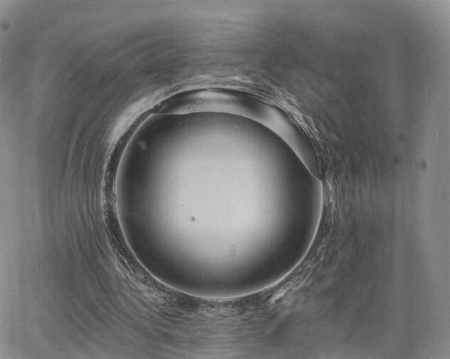 X0000063490340200601231417