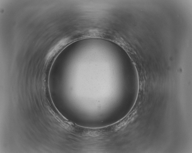 X0000063490341200601231417