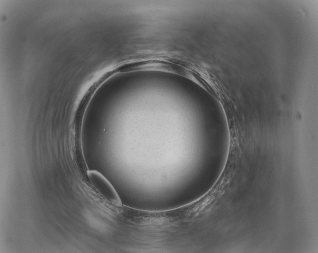 X0000063490342200601231417