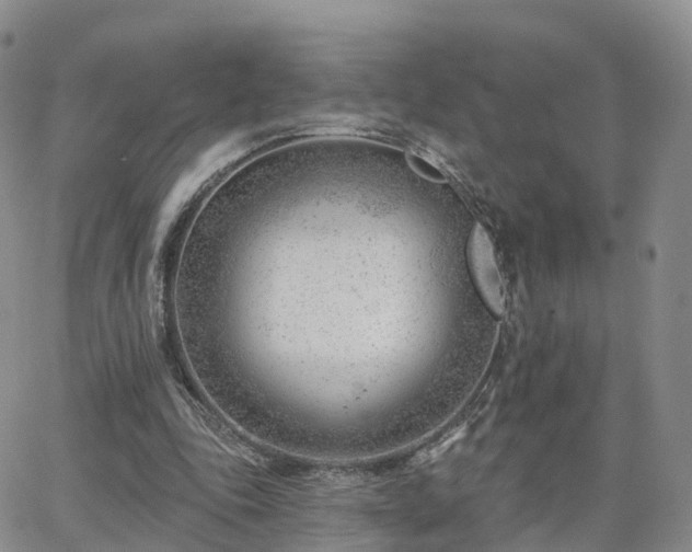 X0000063490343200601231417