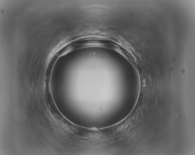 X0000063490344200601231417