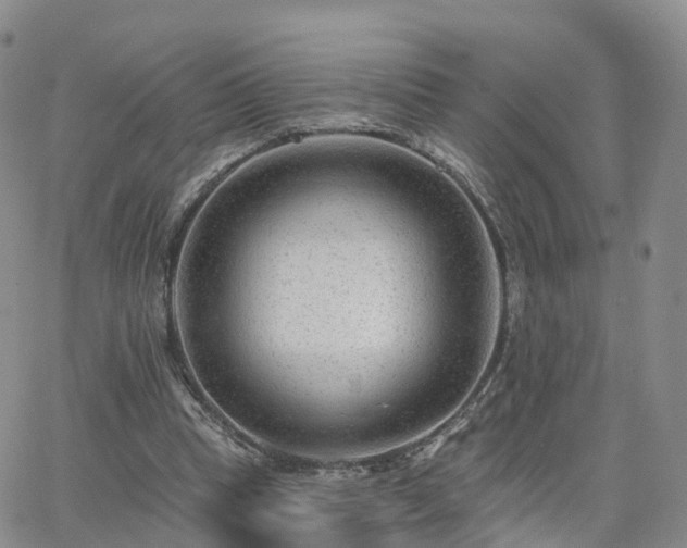 X0000063490345200601231417