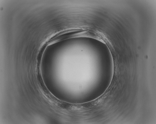 X0000063490346200601231417