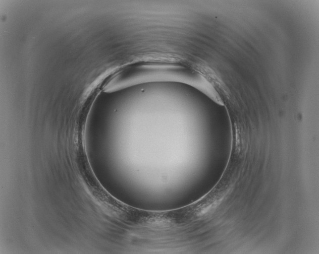 X0000063490348200601231417