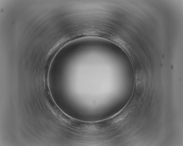 X0000063490349200601231417