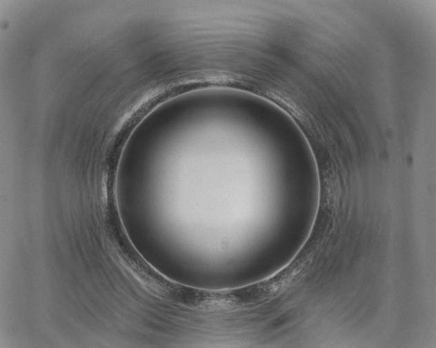 X0000063490350200601231418