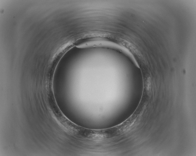 X0000063490352200601231418