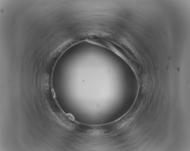 X0000063490356200601231418