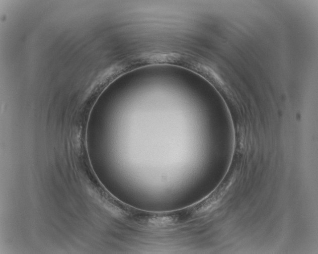 X0000063490357200601231418