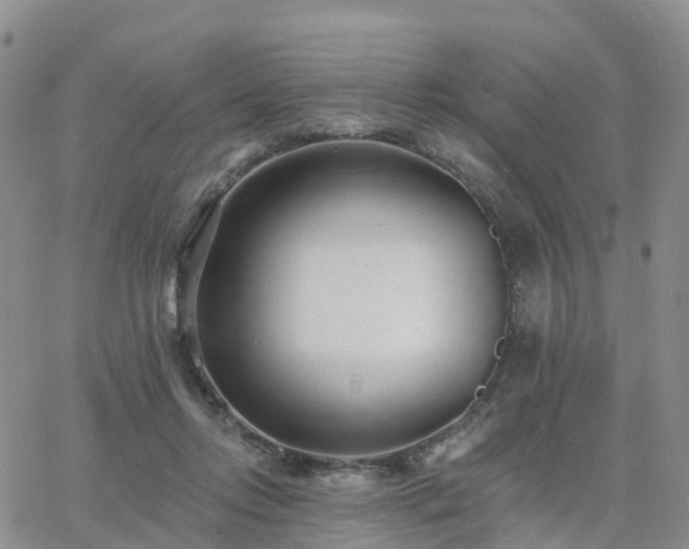 X0000063490358200601231418