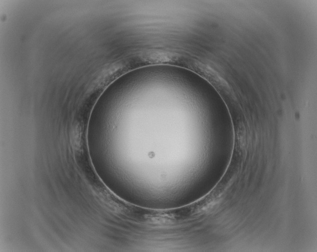 X0000063490359200601231418