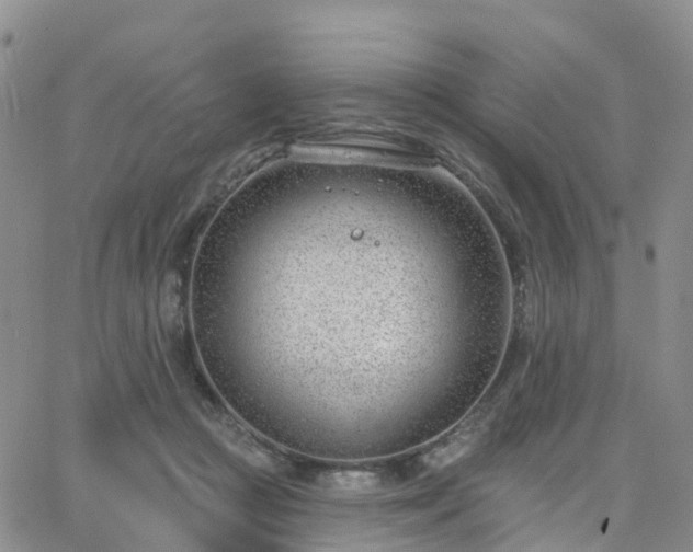 X0000063490361200601231418