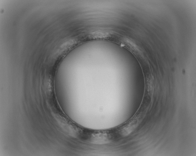 X0000063490362200601231418