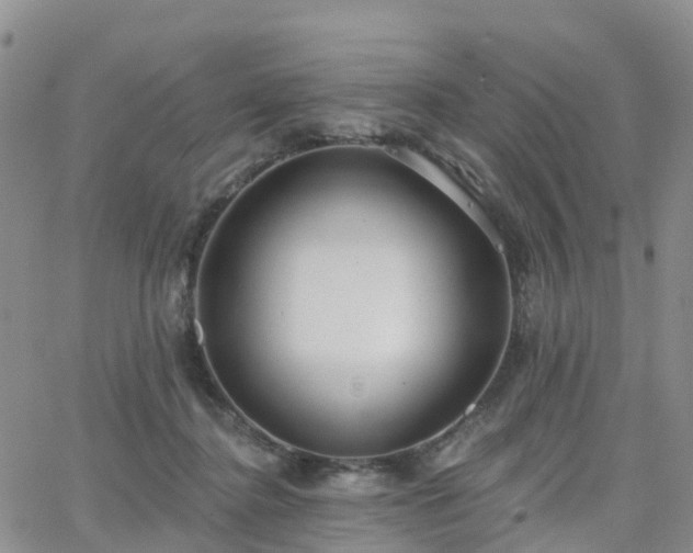 X0000063490364200601231418