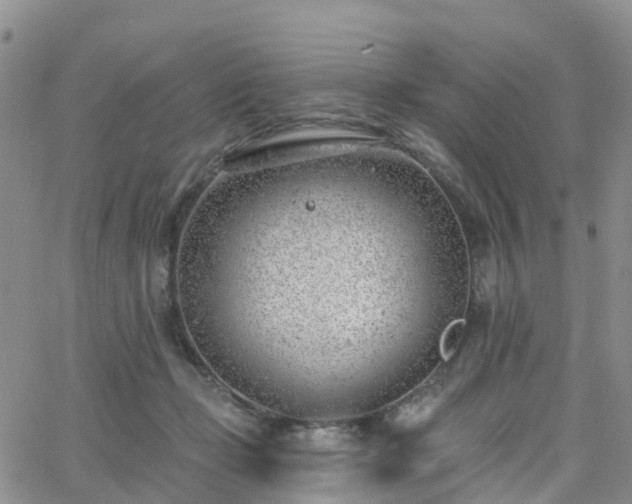 X0000063490365200601231418