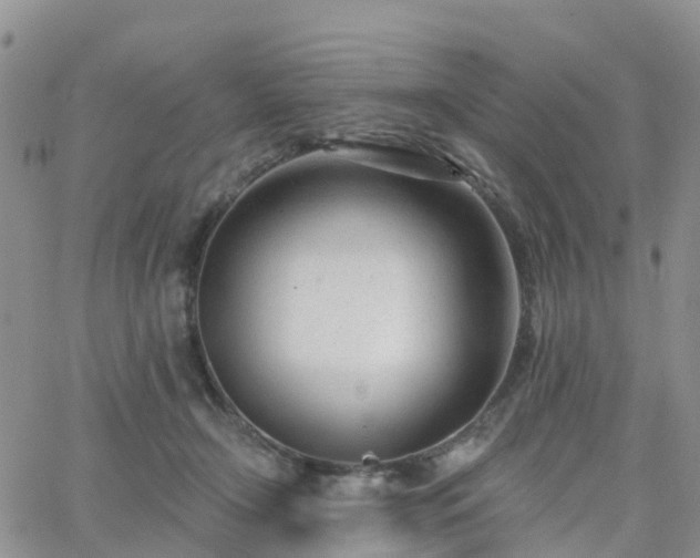 X0000063490366200601231418