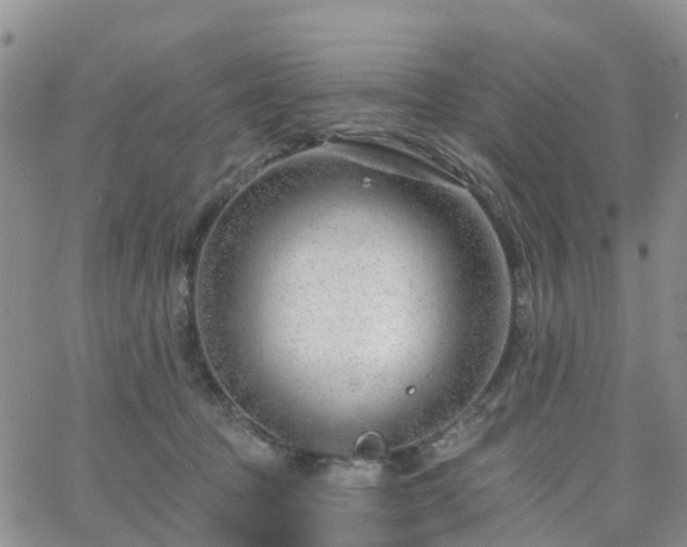 X0000063490369200601231418