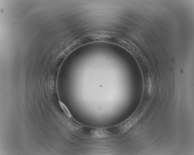 X0000063490372200601231418