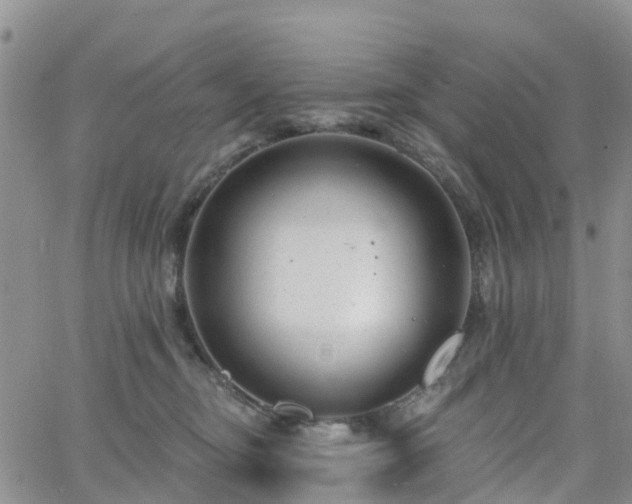 X0000063490374200601231418