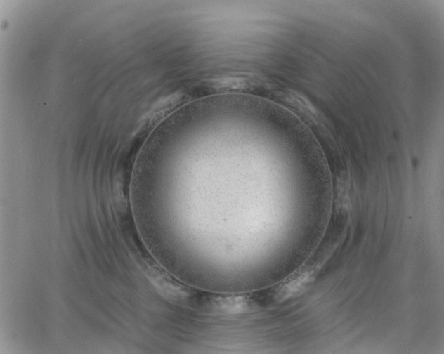 X0000063490377200601231418