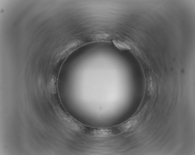 X0000063490378200601231418