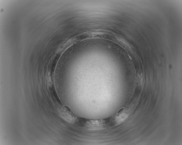 X0000063490381200601231418