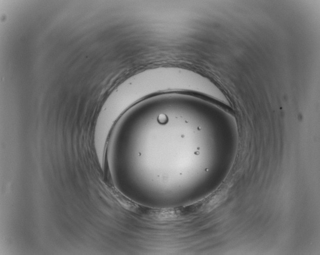 X0000063490384200601231418