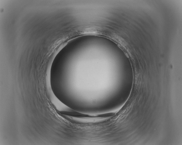 X0000063490385200601231417