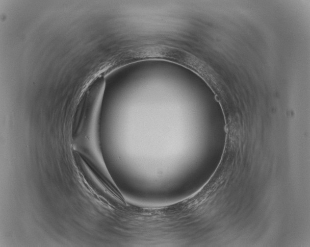 X0000063490386200601231417