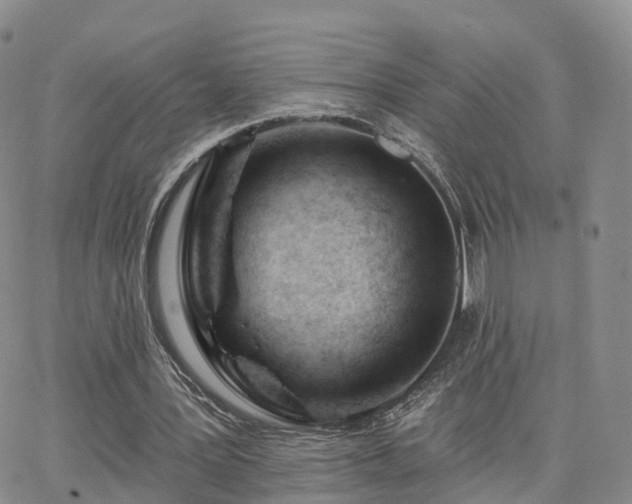 X0000063490387200601231417