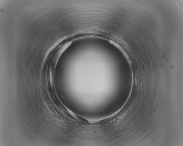 X0000063490388200601231417