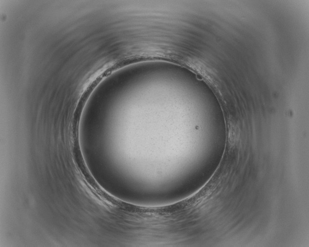 X0000063490390200601231417