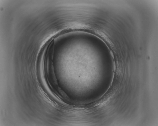 X0000063490391200601231417