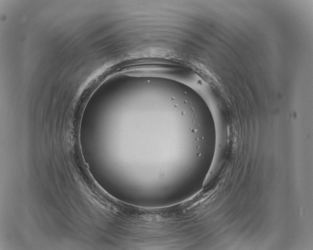 X0000063490392200601231417