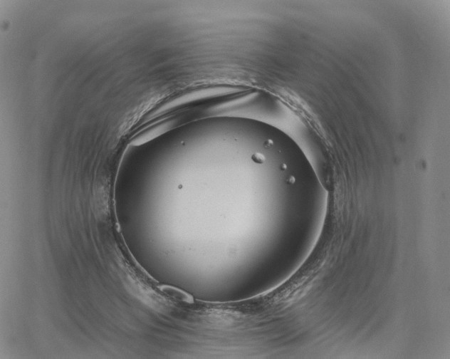 X0000063490393200601231417