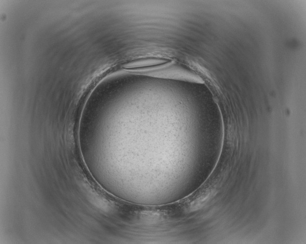 X0000063490394200601231417