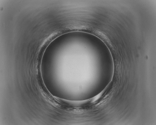 X0000063490395200601231417